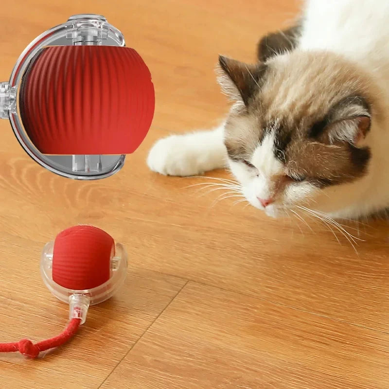 Self-Rolling Plush Cat Toy Ball