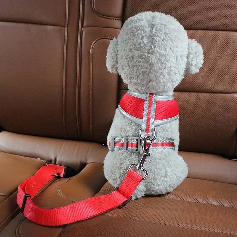 Dog Car Seat Belt & Harness