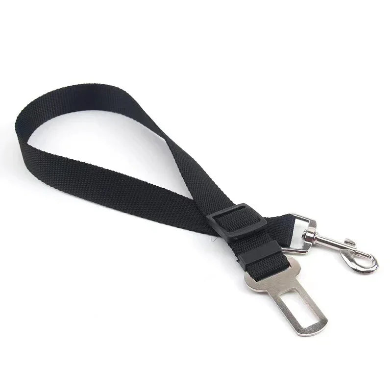 Dog Car Seat Belt & Harness