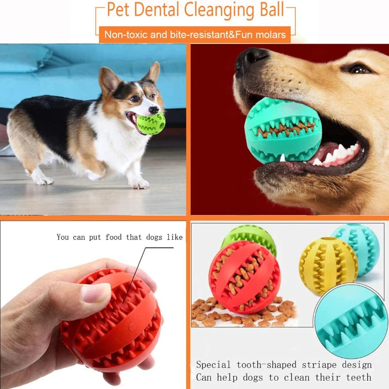 Interactive Rubber Dog Toy Ball