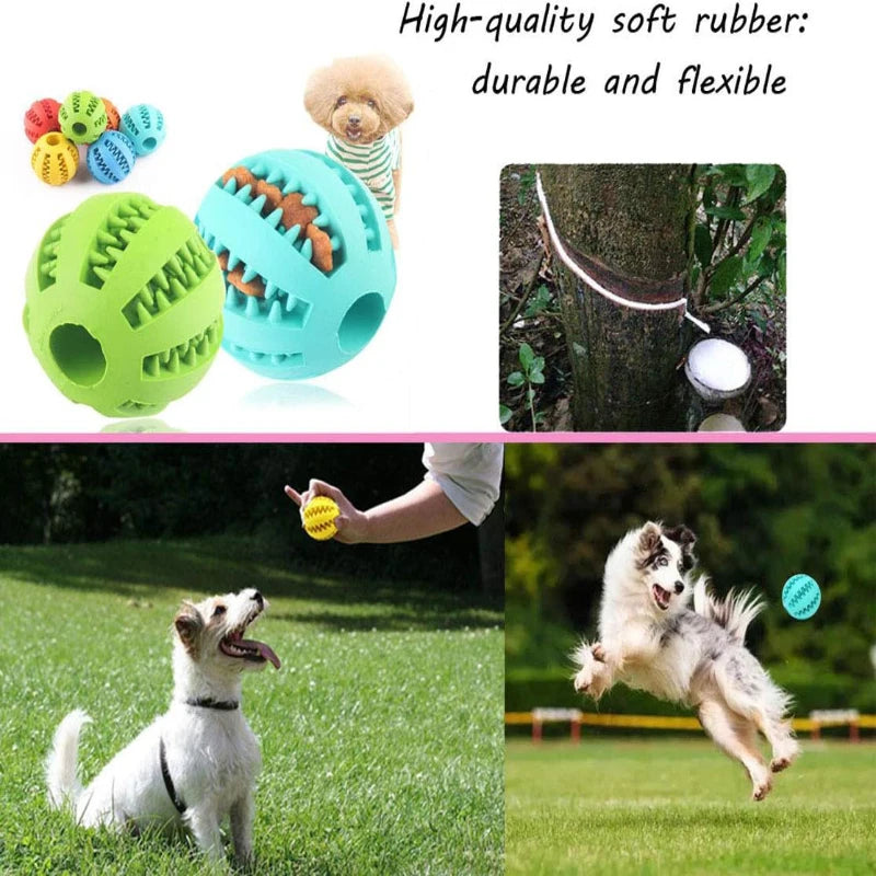 Interactive Rubber Dog Toy Ball