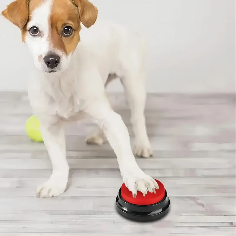 Interactive Dog Toy for Training & Fun