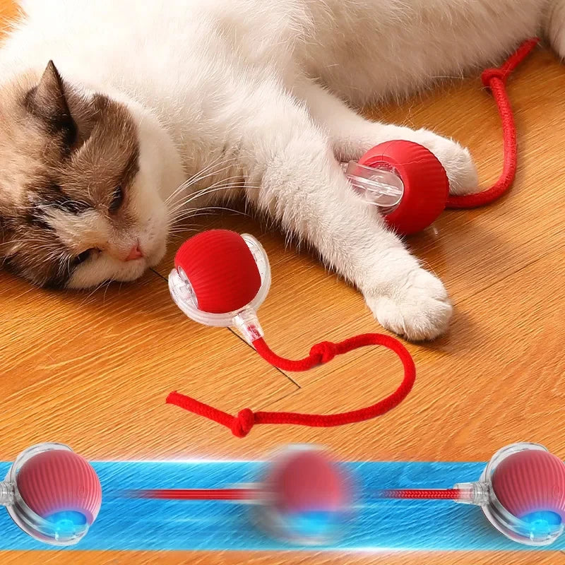 Self-Rolling Plush Cat Toy Ball