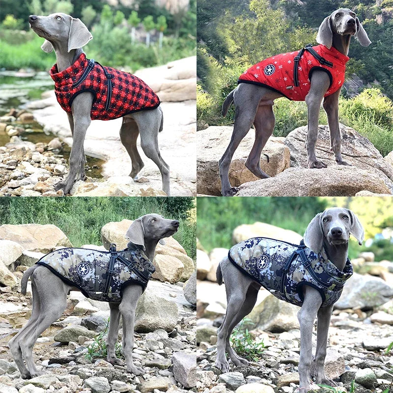 Winter Dog Jacket