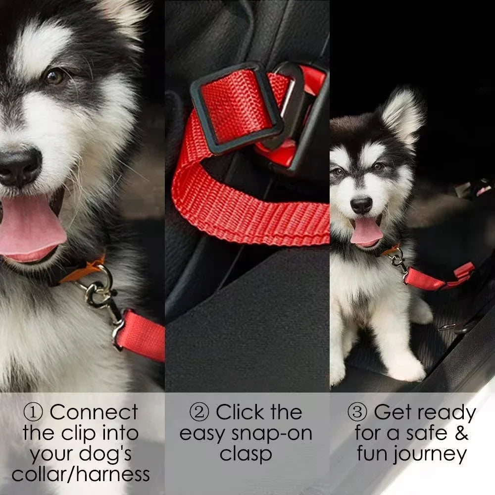 Dog Car Seat Belt & Harness